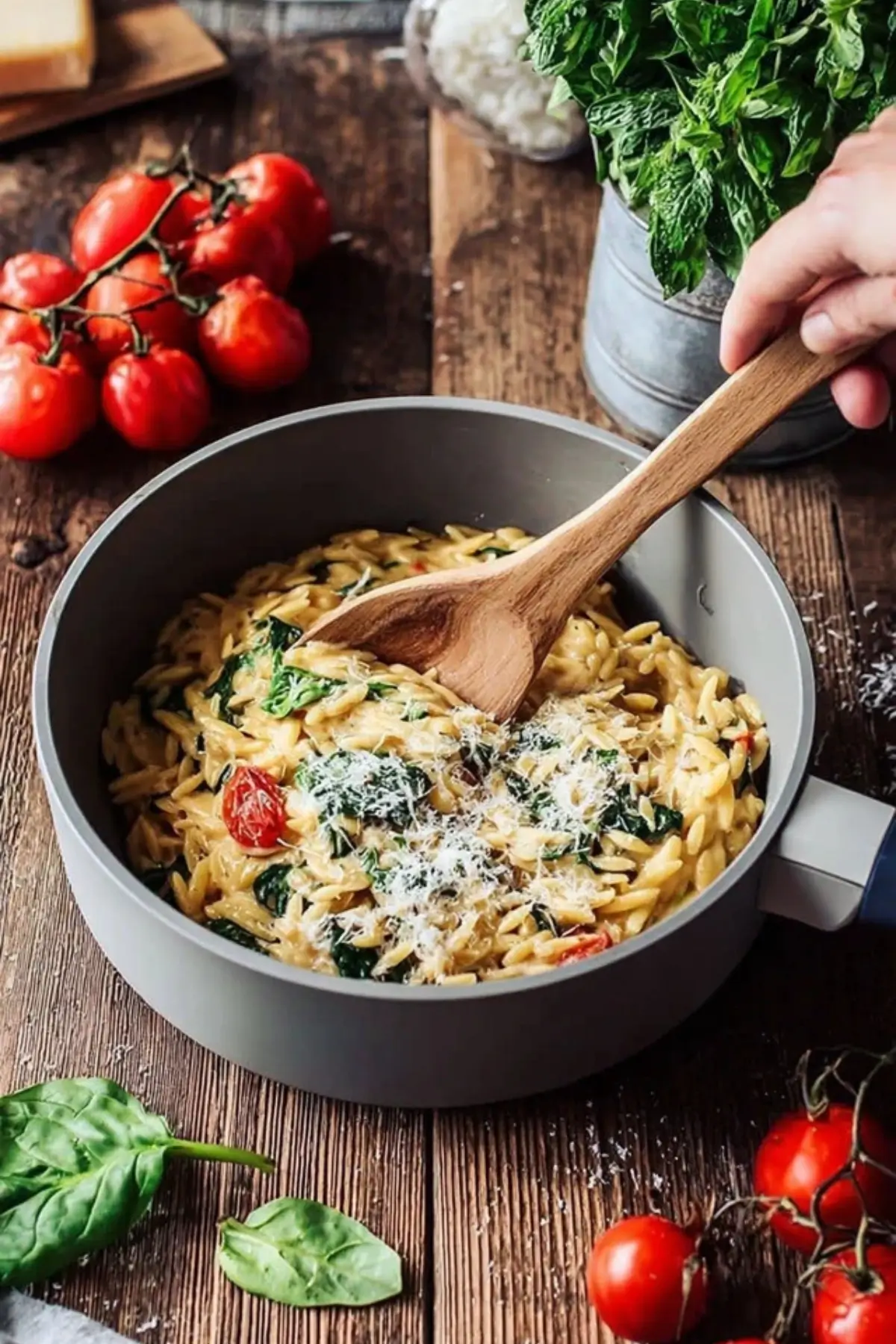 orzotto mit babyspinat