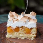 Wachauer Marillenkuchen mit knuspriger Baiserhaube