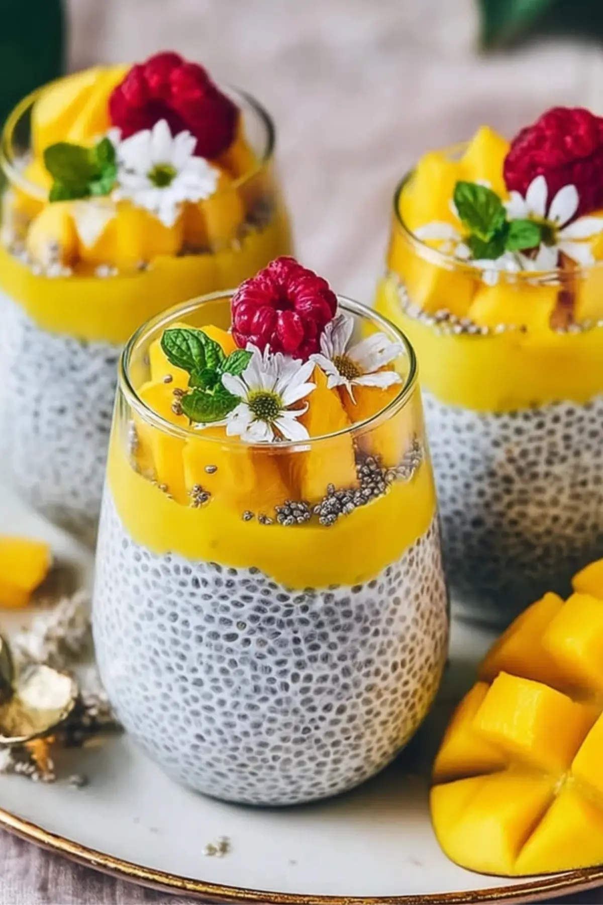 chia-pudding-mit-kokosmilch und mango