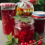 Johannisbeergelee Vanille