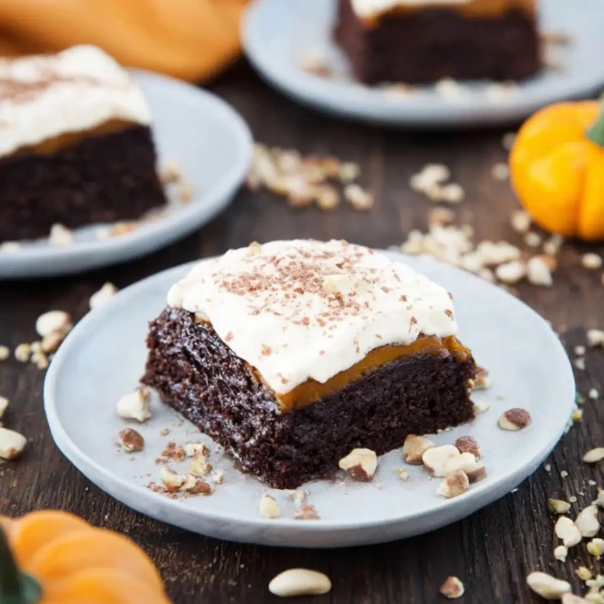 Kürbis-Schoko-Kuchen vom Blech