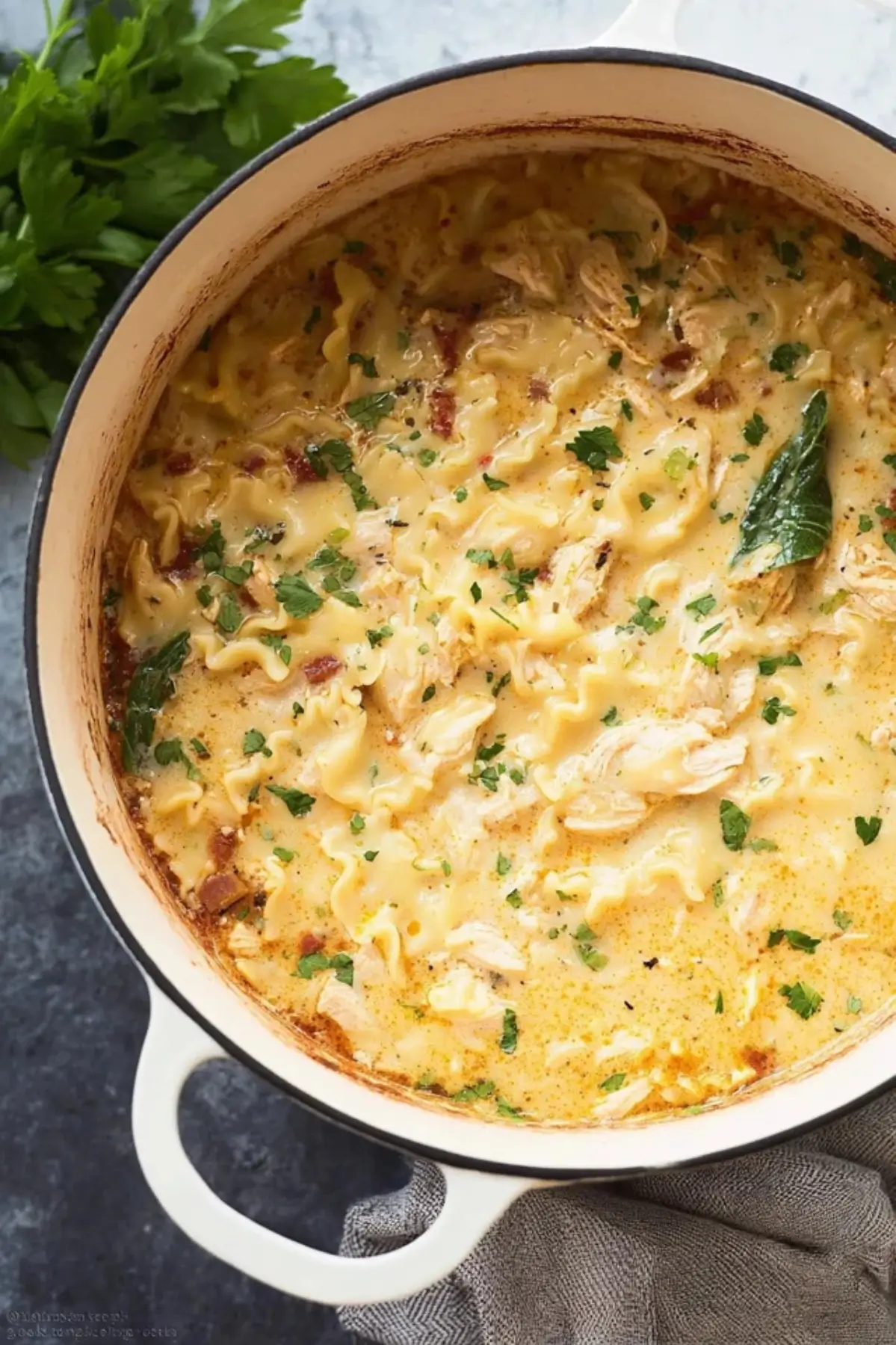Hähnchen Lasagne Suppe