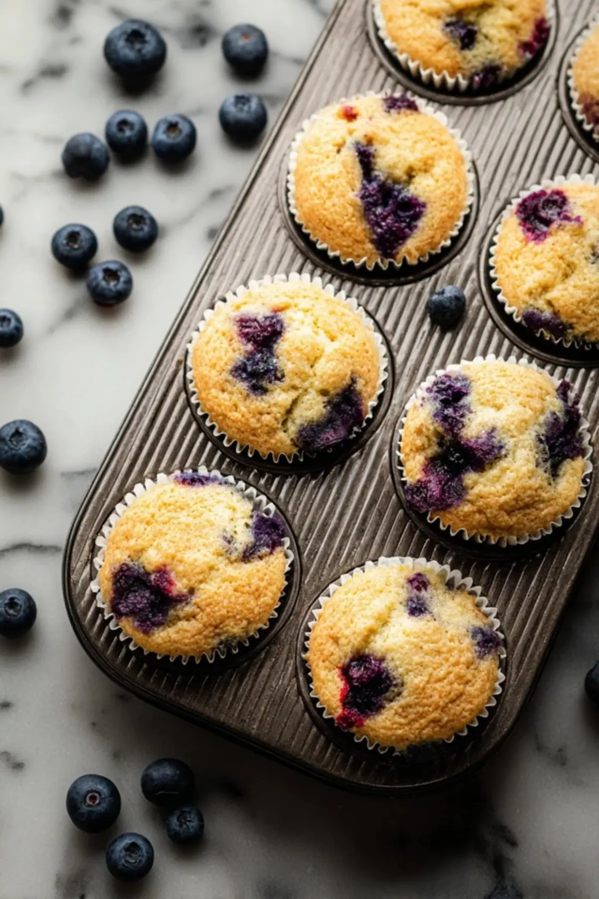 Heidelbeer Protein Muffins