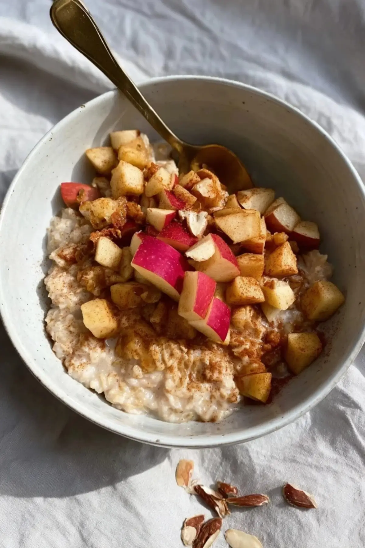 Zimt Apfel Porridge