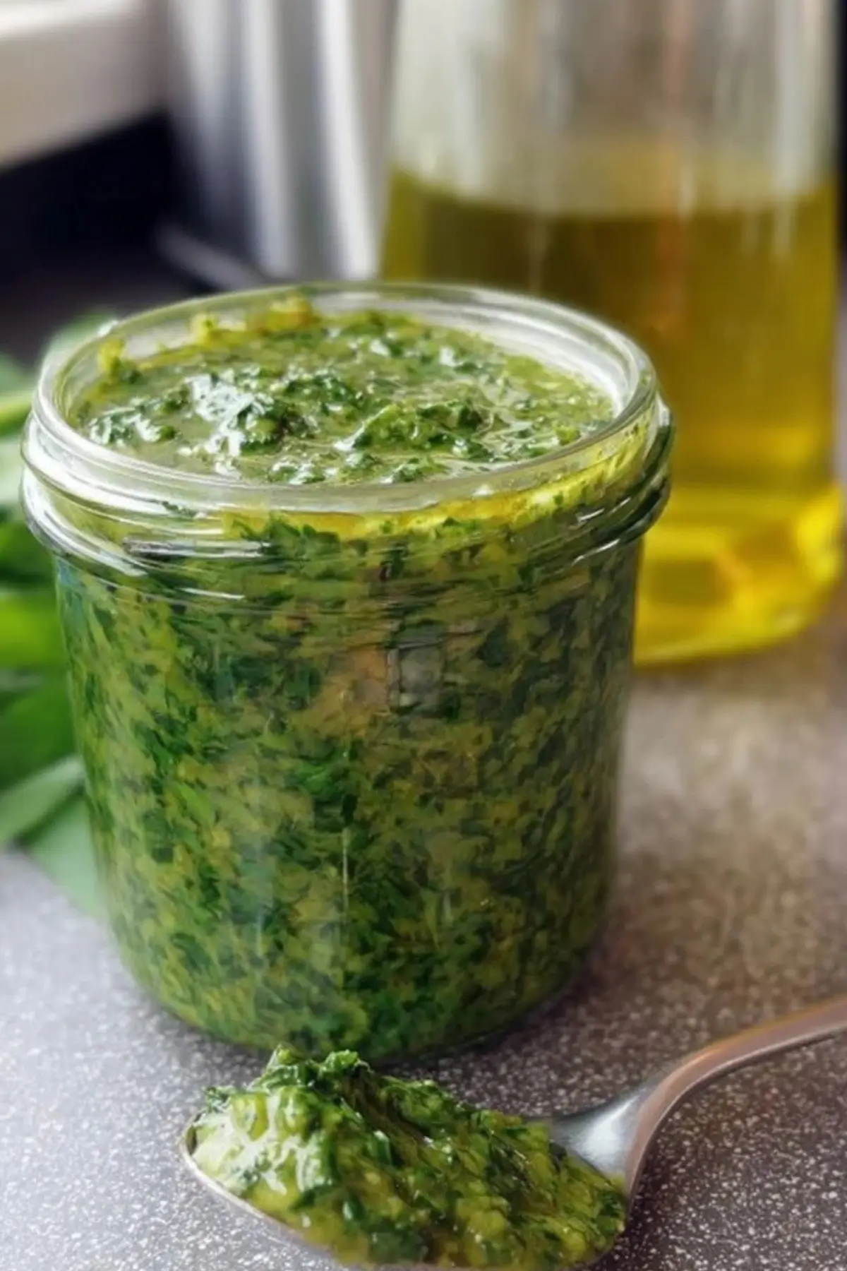 Bärlauch Pesto und Bärlauch Öl