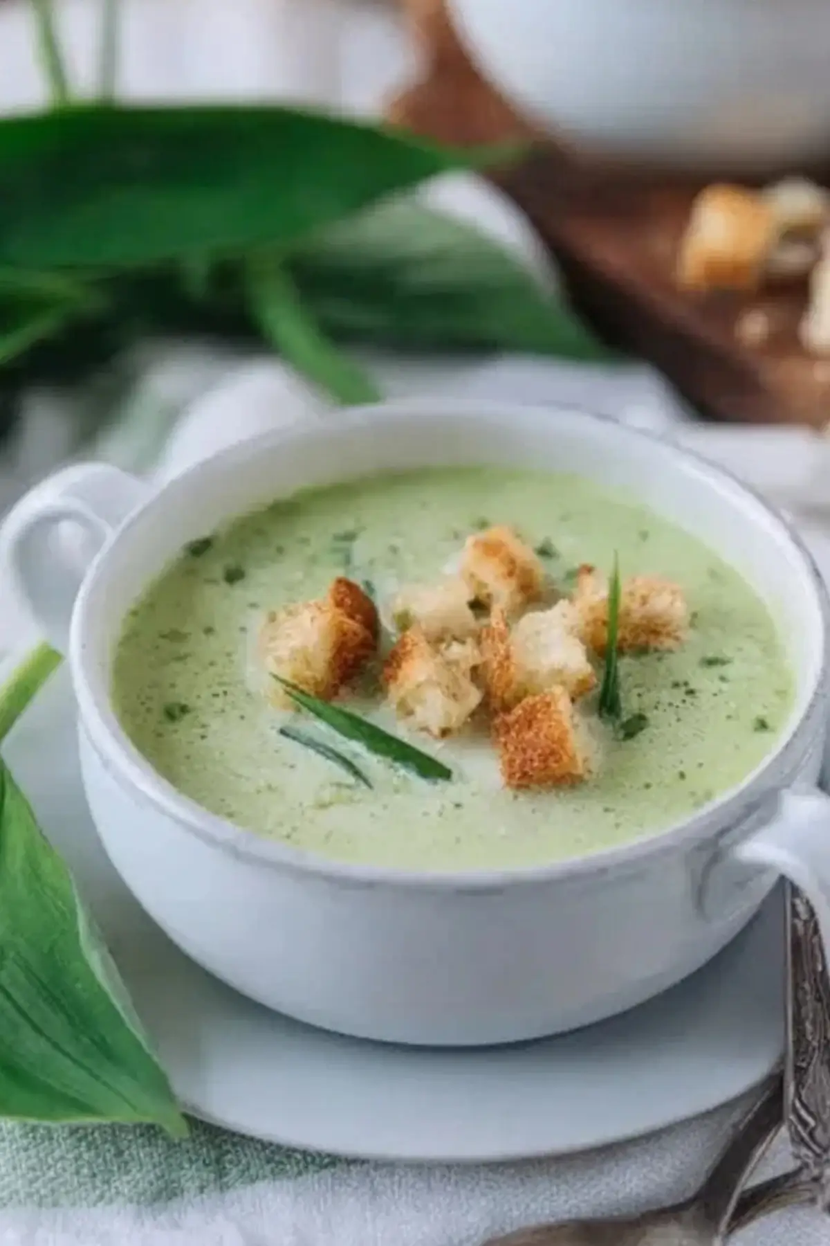 Bärlauchschaumsuppe mit Croutons